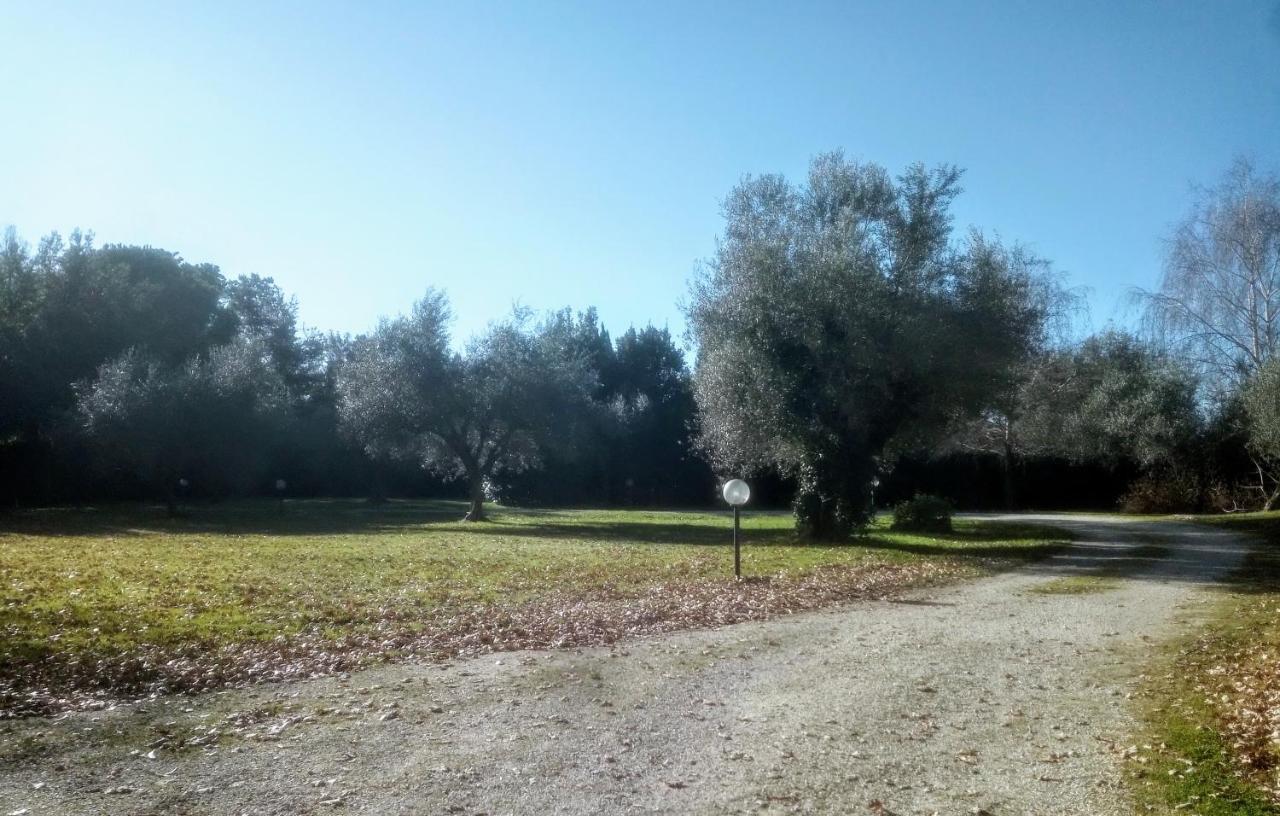 A Casa Di Asia Βιτέρμπο Εξωτερικό φωτογραφία